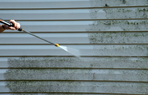 Best Mold Removal Process  in Awendaw, SC