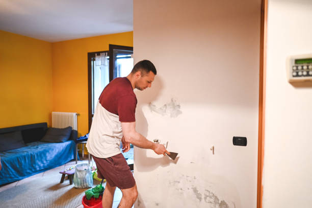 Best Home Mold Removal  in Awendaw, SC